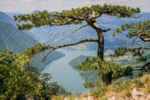 Pogled sa brda na Dunav